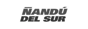 Ñandú del Sur